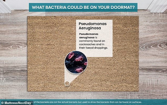 تم اكتشاف Pseudomonas aeruginosa ، الموجود بشكل شائع في الصراصير وفي فضلاتها البرازية ، على أربعة من الجوارب والممسحة ، ولكن ليس على جهاز التحكم عن بعد