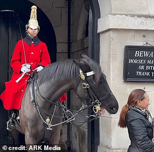 كان كل من السائحين يبتسمان أثناء التقاطهما للصور مع حصان King's Guard