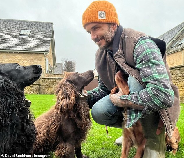 أعطى David Beckham ، 46 ، المعجبين نظرة ثاقبة على حياته المنزلية حيث شارك صورة لنفسه مع كلابه المحبوبة على Instagram