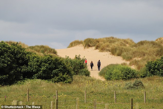 Formby هي مدينة ساحلية بها موقع National Trust - وهي محمية ساحلية تضم شاطئًا طويلًا وكثبانًا رملية وغابات الصنوبر ، وتشتهر بالمشاة.