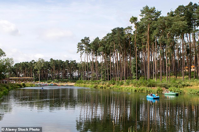 يعد موقع Centre Parcs في Woburn Forest في Bedfordshire من بين مواقعه الخمسة في المملكة المتحدة