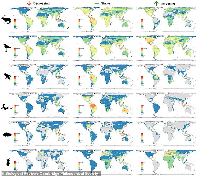 وجدت الدراسة أن التوزيع العالمي للحيوانات ذات السكان المتناقصين كان أكثر تركيزًا في المناطق الاستوائية.  حدد الباحثون المجموعات السكانية 