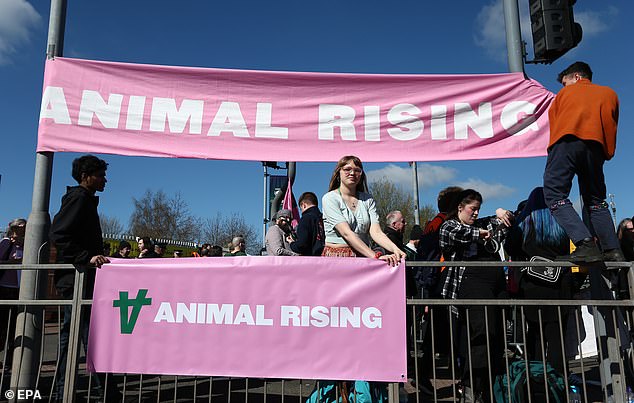 تعهدت Animal Rising ، وهي فرع من مجموعة Extinction Rebellion المناخية ، بتعطيل ديربي إبسوم الذي سيقام يوم السبت المقبل في 3 يونيو.