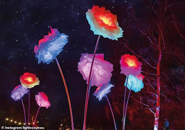 Lightscape (في الصورة) هو تركيب فني دولي ومن المفهوم أنه معروض بالتزامن مع مهرجان Vivid Light الذي سيستمر حتى 17 يونيو
