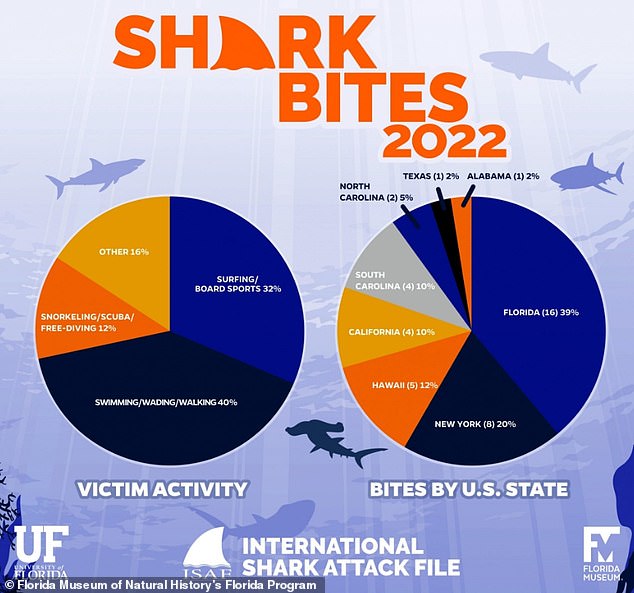 فلوريدا هي عاصمة لدغات أسماك القرش في العالم بعد وقوع 16 هجوماً في عام 2022