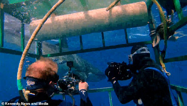 التقط المخرج والمصور المولود في لندن اللقطات بكاميرا نيكون D850 في مسكن مائي Aquatech في جزيرة Guadalupe على بعد 120 ميلاً من ساحل المكسيك