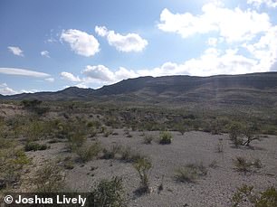 فقط 13 ميلاً مربعاً من الصخور على طول جبال مالون تشكل كل ما تبقى من قاع المحيط من Jurassic Texas. مع الاكتشاف الجديد ، يجري البحث عن المزيد من الحفريات