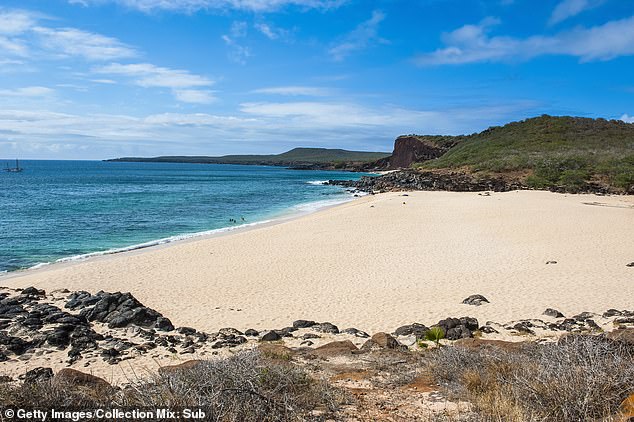 قام النشطاء والمنظمات غير الربحية ، مثل Molokai Heritage Trust ، بمحاولات متكررة لإعادة شراء الأرض