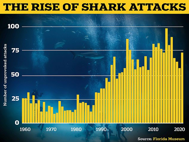 أظهرت إحصائيات متحف فلوريدا تزايد هجمات أسماك القرش غير المبررة على مستوى العالم منذ عام 1960