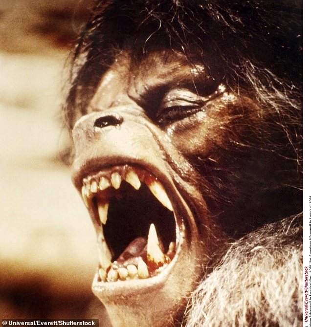 تشتهر لعبة American Werewolf في لندن بمشهد التحول المذهل، وكل ذلك يتم بتأثيرات عملية