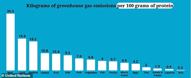 يعد لحم البقر أيضًا أكبر مصدر للبروتين المسؤول عن انبعاثات الغازات الدفيئة