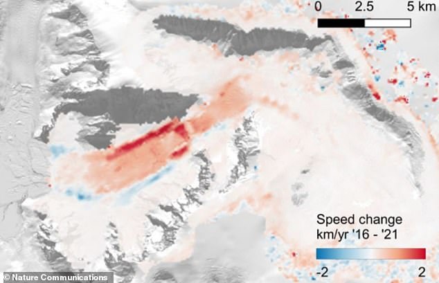 ووجد العلماء أن السرعة التي يتدفق بها النهر الجليدي تسارعت بشكل كبير، مما أدى إلى مضاعفة سرعته، مما أدى إلى زيادة كمية الجليد التي يصرفها في البحر على شكل جبال جليدية.  توضح هذه الصورة مناطق النهر الجليدي التي شهدت أعلى زيادة في السرعة بين عامي 2016 و 2021 باللون الأحمر