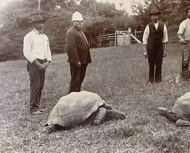 في الصورة، جوناثان في صورة التقطت حوالي عام 188