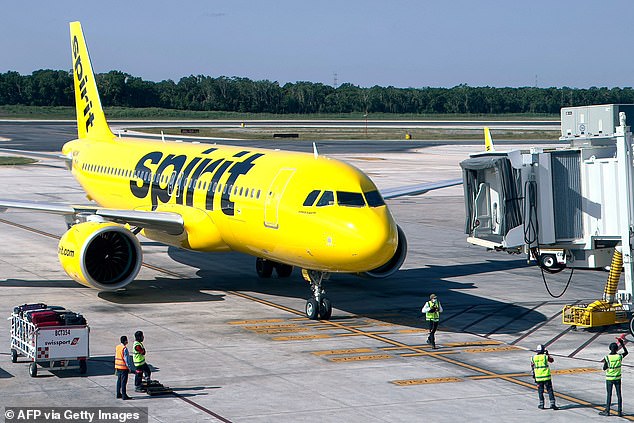 عرضت شركة Spirit Airlines تعويض جدته عن تكلفة الرحلة لاصطحاب كاسبر لكن عائلته تبحث عن تفسيرات