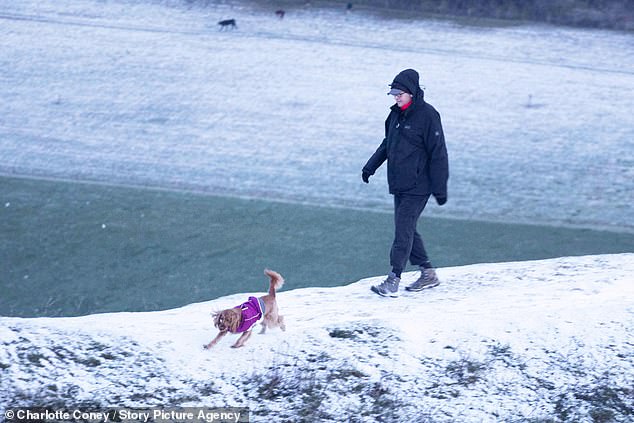 تذهب الكلاب للنزهة في موقع National Trust في Cissbury Ring في غرب ساسكس هذا الصباح