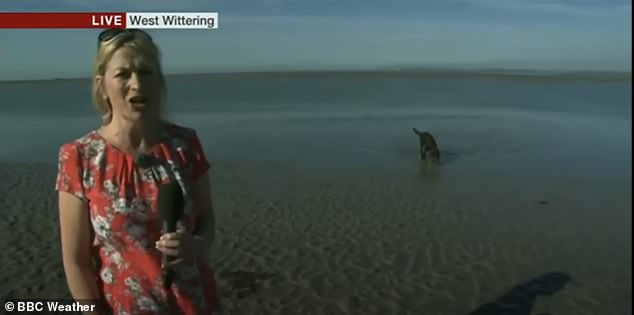 كارول كيركوود تقدم عرضًا من شاطئ West Wittering في ساسكس بينما يقضي كلب حاجته خلفها