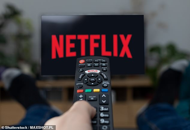 رواد المستوى: كانت Netflix من أوائل الشركات التي قدمت اشتراكات بنقاط أسعار مختلفة