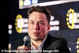 يُزعم أن الشركة المملوكة لشركة Elon Musk أرسلت عروض أسعار إلى الموردين في العام الماضي، متوقعة إنتاجًا أسبوعيًا يبلغ 10000 سيارة كروس أوفر مدمجة عندما يبدأ الإنتاج في يونيو 2025