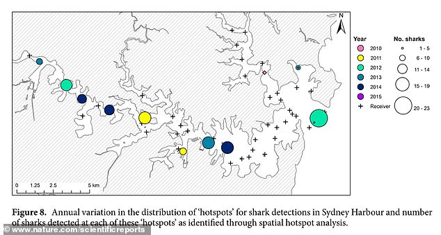 في الصورة: خريطة توضح أماكن رصد أسماك القرش في ميناء سيدني منذ عام 2010