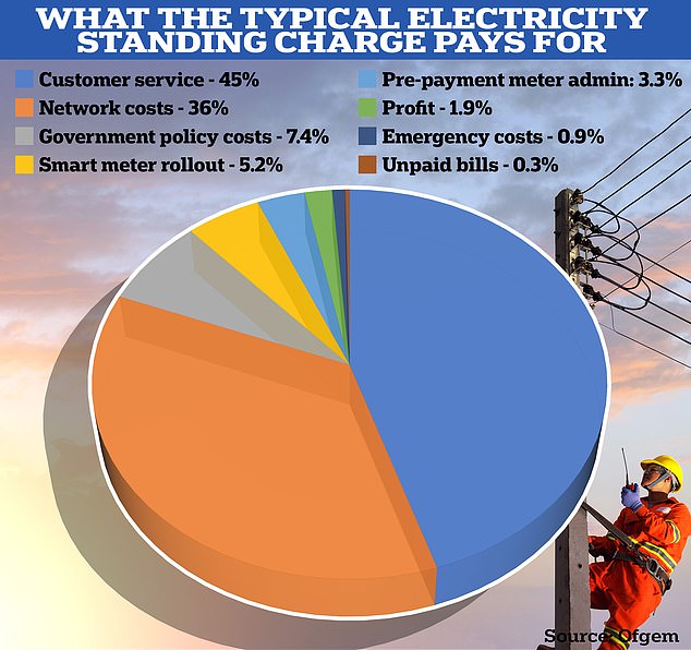 أين تذهب: وفقًا لـ Ofgem، تذهب غالبية الرسوم الدائمة إلى