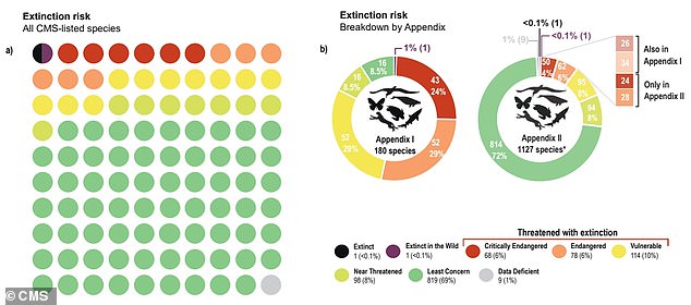 من بين 1189 نوعًا من الحيوانات التي اعترفت CMS بأنها بحاجة إلى حماية دولية، هناك 260 نوعًا (22%) تعتبر مهددة بالانقراض.