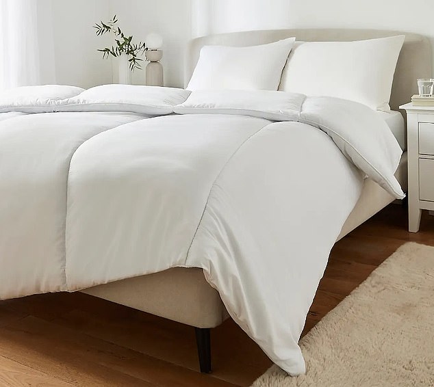 الطازجة: تبيع شركة Dunelm مجموعة واسعة من المنتجات للمنازل والحدائق