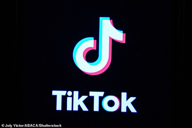 أثار السياسيون مرارًا وتكرارًا مخاوف بشأن الشركة الأم لـ TikTok، ByteDance، التي يقع مقرها الرئيسي في بكين ويشتبه في أن لها علاقات مع الحزب الشيوعي الصيني.