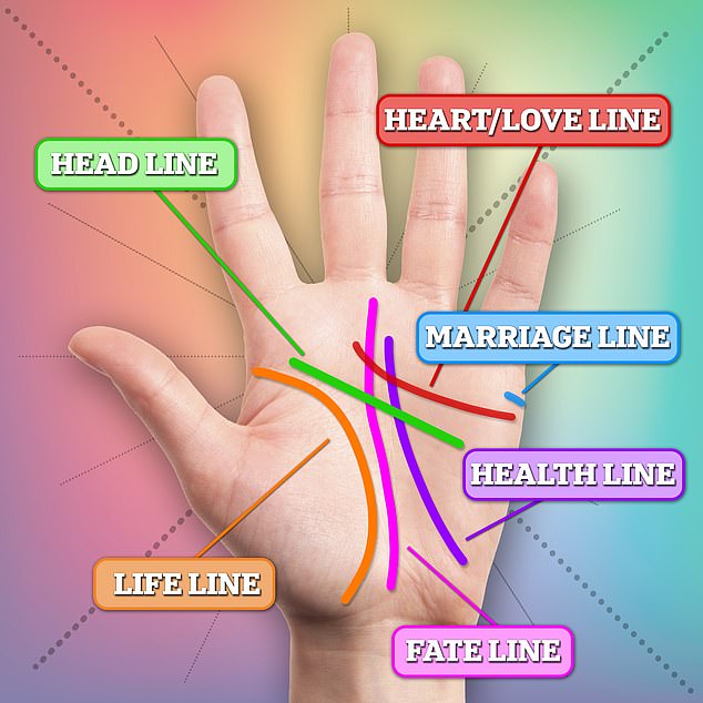 تشمل الخطوط الموجودة على راحة اليد خط الحياة (الصحة)، وخط الرأس (القدرات الفكرية)، وخط القلب (الحالة العاطفية والعلاقات).