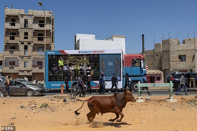 قد يقوم الجيران المعنيون بإلقاء القبض على ثور هائج وإخصائه في ولاية ميسوري، ولكن فقط إذا قدموا إشعارًا مناسبًا قبل ثلاثة أيام