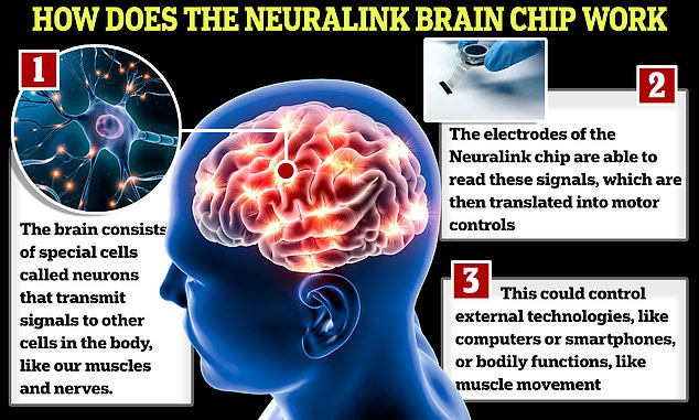 تعمل شريحة Neuralink عن طريق إدخال أسلاك دقيقة جدًا في أجزاء من الدماغ لقياس نشاطها.  ثم يرسل الجهاز هذه الإشارات إلى أجهزة الكمبيوتر مما يسمح للمريض بالتحكم فيها عن بعد