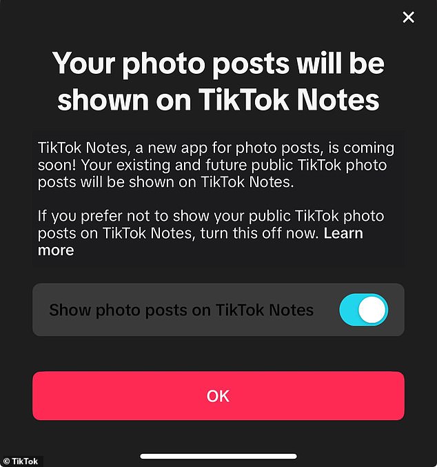 بدأ بعض مستخدمي TikTok في رؤية إشعارات منبثقة تكشف أنه سيتم عرض صورهم في تطبيق جديد