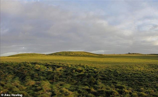 في الصورة، بعض عربات اليد الأصلية في موقع ساتون هوو التاريخي في سوفولك، موطن المقابر الأنجلوسكسونية