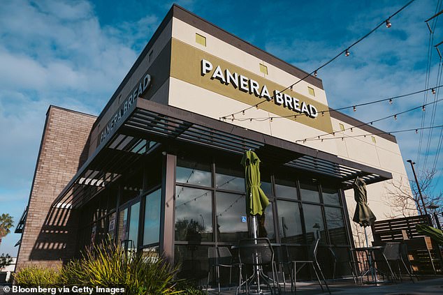 افتتحت Panera Bread متجرًا لأول مرة في عام 1987. واعتبارًا من يناير 2024، أصبح لدى Panera Bread أكثر من 2160 موقعًا في 48 ولاية أمريكية.