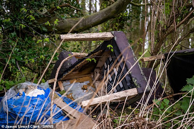 يمكن رؤية القمامة المنزلية متناثرة بين الأشجار في Boxley Woods