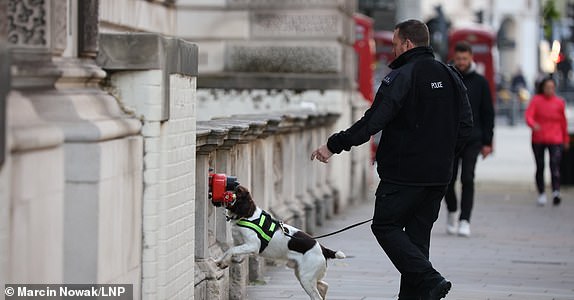 Â© مرخصة لشركة London News Pictures.  15/06/2024.  لندن، المملكة المتحدة.  أفراد من العائلة المالكة يحضرون حفل Trooping The Color في وسط لندن للاحتفال بعيد الميلاد الرسمي للملك تشارلز الثالث.  مصدر الصورة: مارسين نوفاك/الحزب الوطني الليبرالي