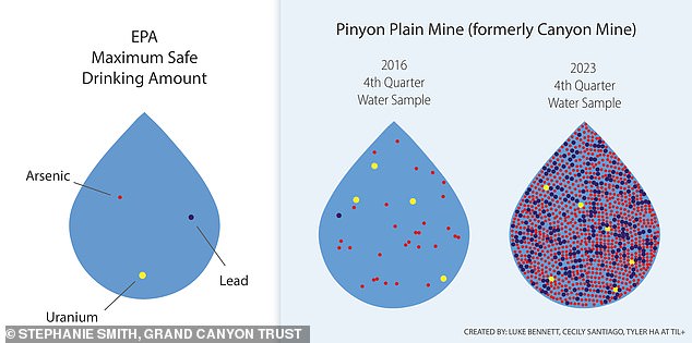 أفادت مؤسسة Grand Canyon Trust أن مياه Pinyon Plain Mine تحتوي على يورانيوم يزيد بستة أضعاف عن الحد الأقصى لمستوى الملوثات الذي يعتبر آمنًا للشرب - بينما كان الرصاص 243 ضعف الكمية المسموح بها والزرنيخ 812 ضعف الحد الأقصى.