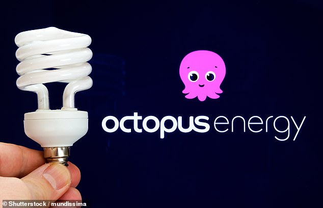 لحظة مضيئة: شركة Octopus Energy ستدفع للمتقاعدين الذين يخسرون مدفوعات الوقود الشتوية