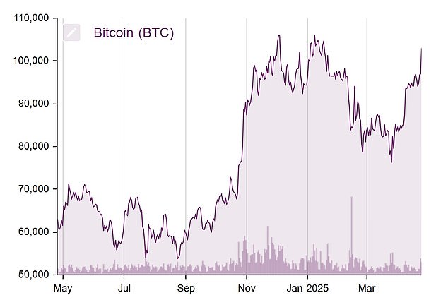 ارتفع Bitcoin بأكثر من 10 ٪ منذ بداية عام 2025 ولكنه لا يزال أقل من ذروة نوفمبر 2024