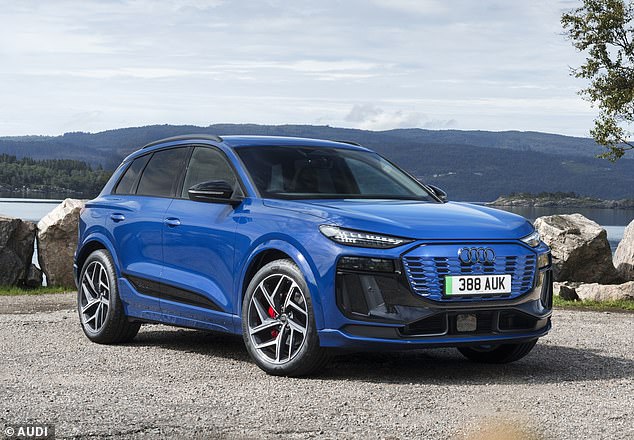 لدى Audi أكثر خيارات سيارات الدفع الرباعي والتقاطع في تشكيلة الفريق الحالية. هناك 18 نوعًا من المتغيرات في صالات العرض اليوم ، بما في ذلك Q6 e-Tron EV (في الصورة) الجديدة (في الصورة)