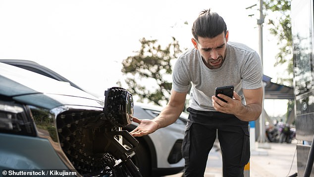 قال Jakob Pfaudler ، الرئيس التنفيذي لشركة AA ، إن EVs عرضة لمجموعة من المشكلات المتعلقة بالتحديد بنماذج البطارية ، بما في ذلك كابلات الشحن المحشورة والمواطن التقنية