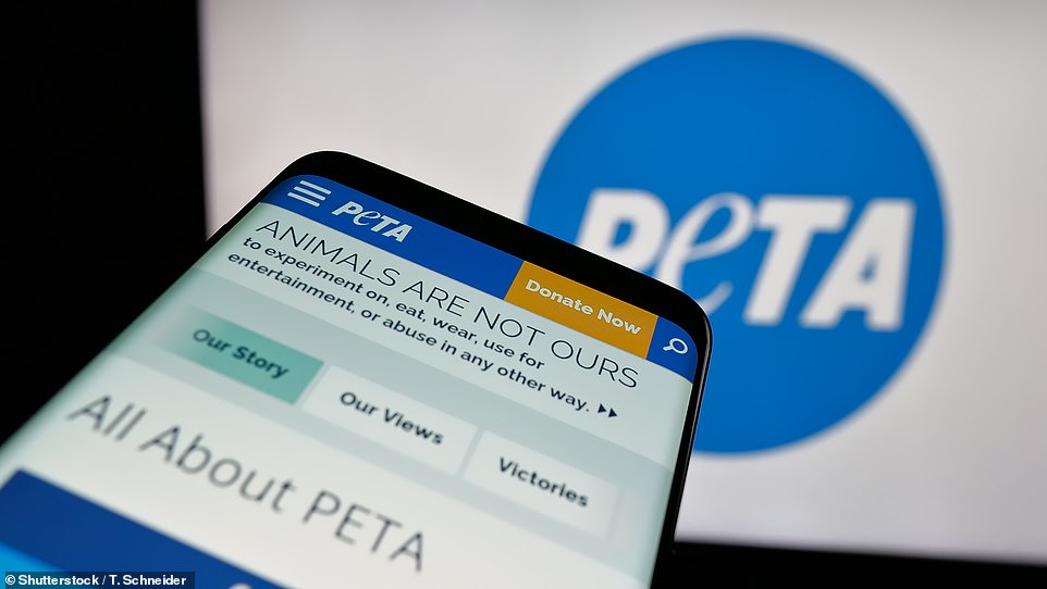 ولكن ليس كل شركة تصنيع سيارات تتناول هذا الاتجاه الصديق للنباتات. أدرجت دراسة PETA التي أجريت العام الماضي العلامات التجارية التي تستخدم حاليًا مواد تابعة للجلد ولكنها أبرزت أيضًا تلك التي تلتزم بالجلود التقليدية. تعرف على العلامات التجارية التي لا ترضي النباتيين أدناه ... لقد استفادت مجموعة حقوق الحيوان من الاستمرار في استخدام صناعة السيارات للجلد ، مدعيا أنها جزء ملوث للغاية من عملية التصنيع. في حين أنه يشير إلى أن ثلاثة جلود بقرة تستخدم لسيارة عائلية متوسطة الحجم ، فإن نماذج فاخرة أكبر يمكن أن تتطلب ما يصل إلى 15 جلودًا حيوانية في المجموع.