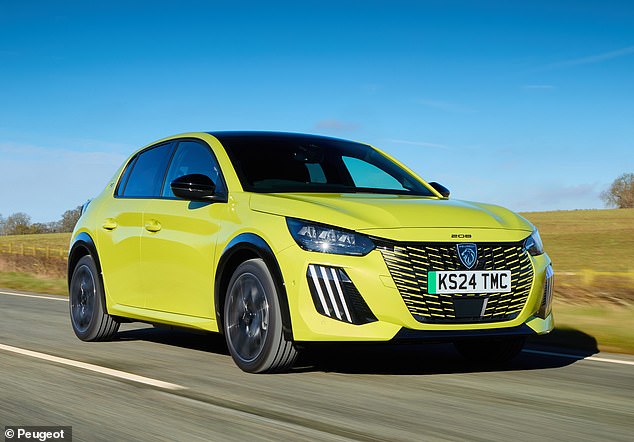 أكدت Peugeot الشهر الماضي أنها قدمت طلبات لسبعة من نماذجها لإدراجها في المنحة. ومع ذلك ، تم تأكيد ثلاثة فقط كجزء من هذا الإعلان الأخير ، بما في ذلك E-208 (في الصورة)