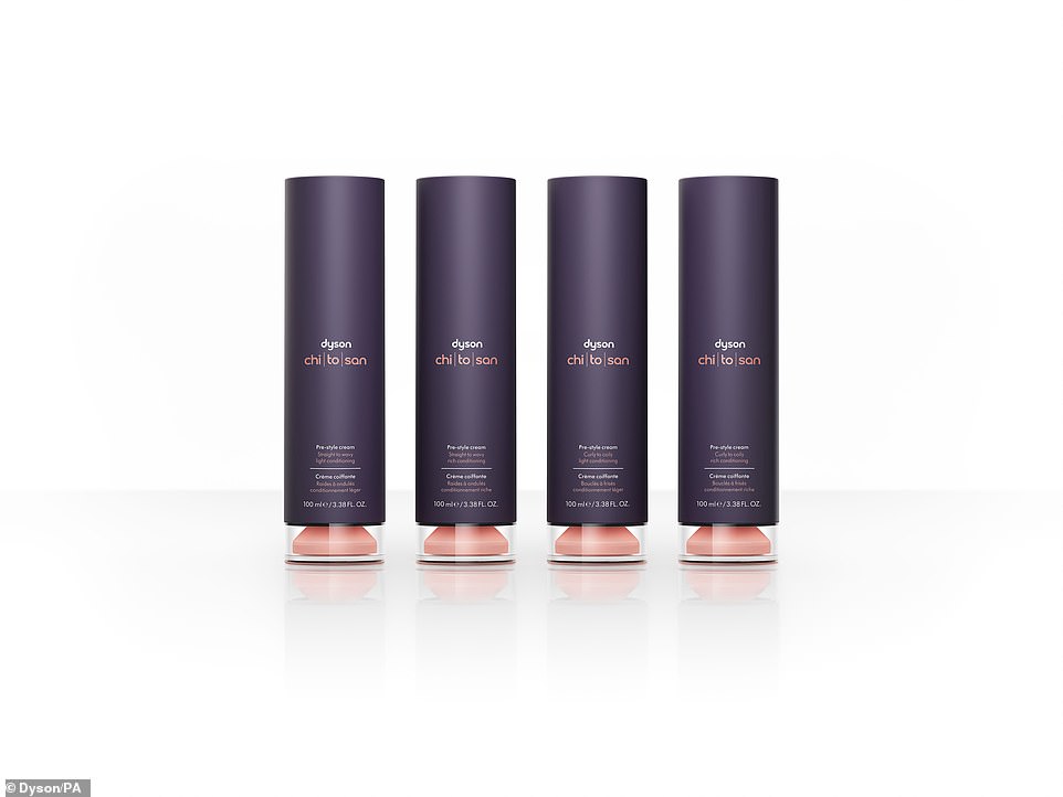 وقال هانو كيرنر ، الرئيس التنفيذي لشركة دايسون ، إن عام 2024 كان 