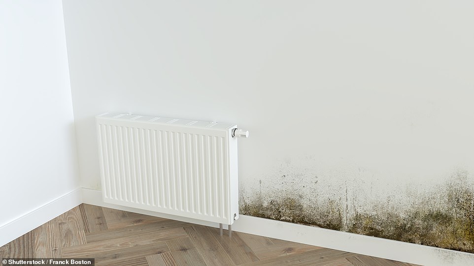 ECO - التزام شركة الطاقة - هو مخطط لكفاءة الطاقة مصمم لخفض فقر الوقود من خلال إجبار شركات الطاقة على توفير الأموال اللازمة لتحسين الطاقة في منازل الناس، مثل العزل. يمكن للأسر التي تحصل على واحدة من المزايا العديدة والتي تحتاج منازلها إلى تحسين كفاءة الطاقة أن تكون مؤهلة للحصول على هذا المخطط، المصمم لمحاربة فقر الوقود وتوفير أموال المستهلكين على فواتير الطاقة الخاصة بهم. وفقًا لـ Ofgem، كان هناك 304.500 منشأة بموجب مخططات ECO4 وGBIS حتى نهاية مارس 2025. لكن NAO يقول اليوم إنه كانت هناك