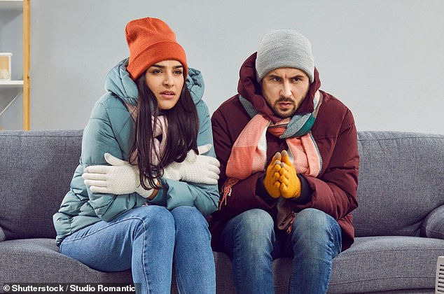 الحظر: في عام 2023، أصدرت هيئة معايير الإعلان أحكامًا ضد أربع شركات، بسبب سخانات صغيرة تعمل بالكهرباء والتي أشارت بشكل مضلل إلى أنها توفر المال