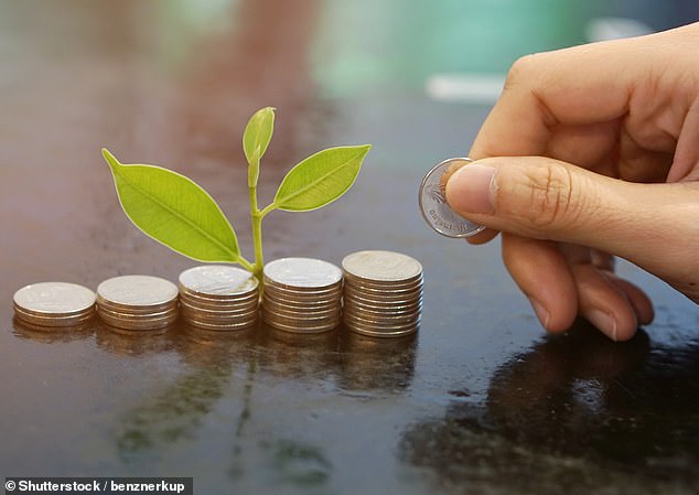 النمو على المدى الطويل: يفتخر فريق الاستثمار الذي يدير صندوق كاليدونيا للاستثمار بأن مشاركة العائلة تسمح لهم بالتفكير