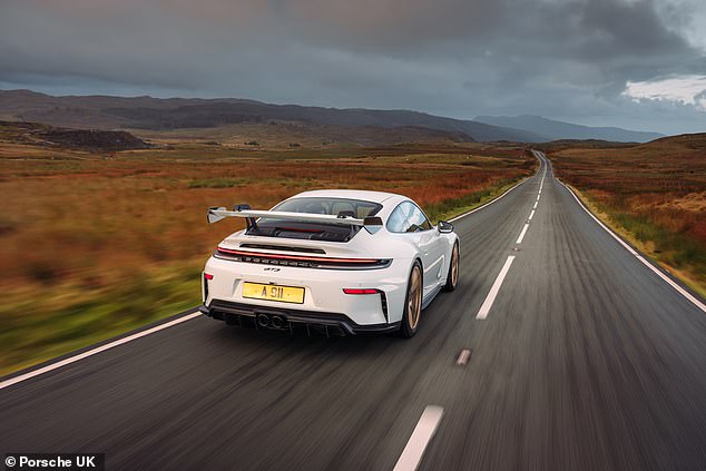 على الرغم من أن بورش امتنعت عن تأكيد المواصفات الدقيقة التي اختارها إيفانز، إلا أن هذا بلا شك محرك أكثر ملاءمة للفات في سيلفرستون بدلاً من ركن السيارة في سينسبري.