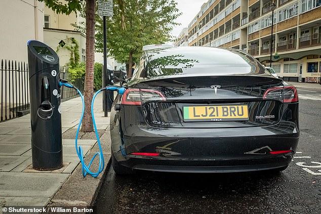 تقوم الحكومة بإعداد تقرير حول كيفية تقليل تكاليف شحن المركبات الكهربائية العامة، مع إمكانية تخفيض ضريبة القيمة المضافة على الكتب