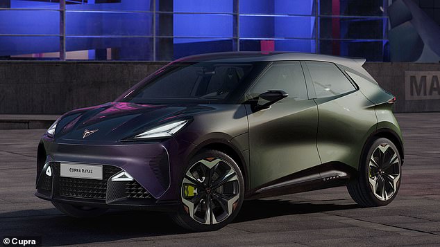 سوف يقوض كوبرا رافال الطراز Born باعتباره أرخص طراز للعلامة التجارية الإسبانية، بدءًا من 25 ألف جنيه إسترليني