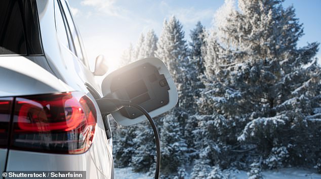 قالت نسبة صغيرة من مالكي السيارات الكهربائية الذين يقطعون رحلات طويلة خلال فترة الأعياد إنهم 